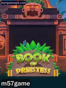 Explorando o Fascinante Mundo de BookOfPriestess